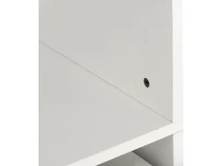 Armoire avec 5 tiroirs et 2 étagères
