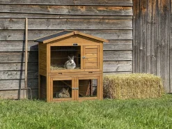 Clapier poulailler en bois