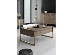 Ensemble de meubles de salon en bois 
