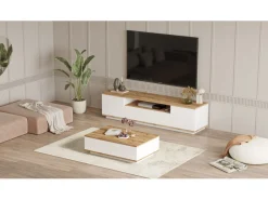 Ensemble de meubles de salon en bois