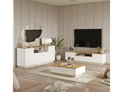 Ensemble de meubles de salon en bois