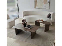 Ensemble de table basse en bois