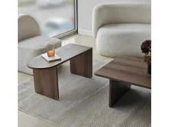 Ensemble de table basse en bois