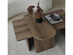 Ensemble de table basse en bois