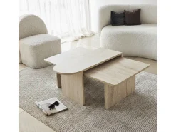 Ensemble de table basse en bois 