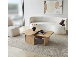 Ensemble de table basse en bois 