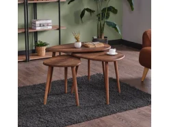 Ensemble de table basse en bois 