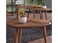 Ensemble de table basse en bois 