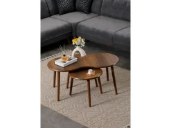 Ensemble de table basse en bois