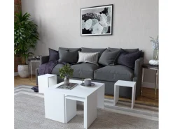 Ensemble de tables basses en bois 