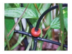 Kit d'irrigation pour serre