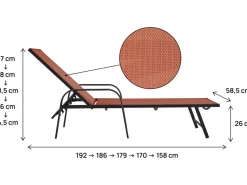 Lot de 2 bains de soleil en métal avec accoudoirs 