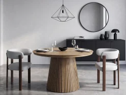 Lot de 2 chaises de salle à manger avec accoudoirs 