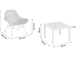 Lot de 2 fauteuils de jardin avec table basse
