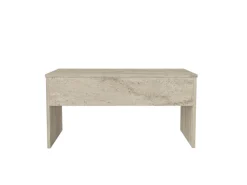 Table basse avec coffre de rangement en bois