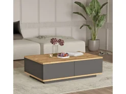 Table basse en bois 