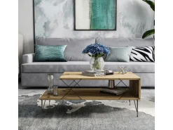 Table basse en bois 