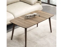Table basse en bois "Luci" 100 x 53 x 45 cm - Noyer