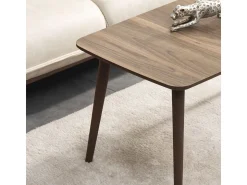 Table basse en bois 