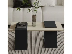 Table basse en bois 