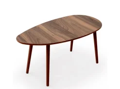 Table basse en bois "Nora" 100 x 50 x 45 cm - Noyer