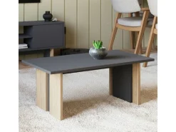 Table basse en bois 