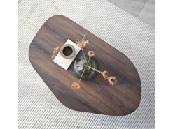 Table basse en bois 